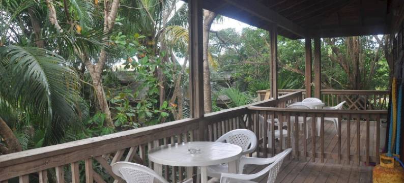 阿科艾丽斯旅馆(Posada Arco Iris, West End)图片