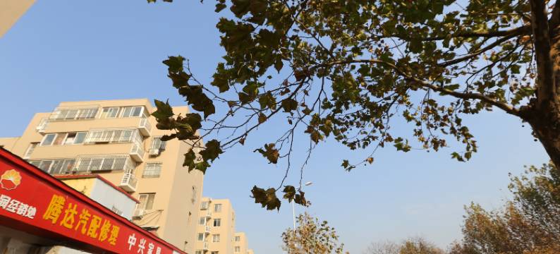 郑州花田酒店图片