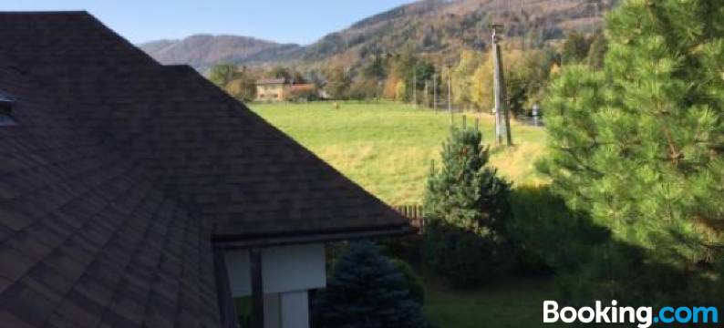 维利德斯旅馆(Penzion Na Vyhlidce)图片