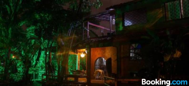 秘密佛陀酒店(The Secret Buddha)图片