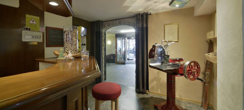 乐羚羊酒店(Hotel Le Chamois)图片