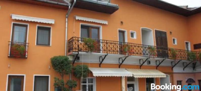 费迪南德潘扎欧酒店(Pension Ferdinand Panzio)图片