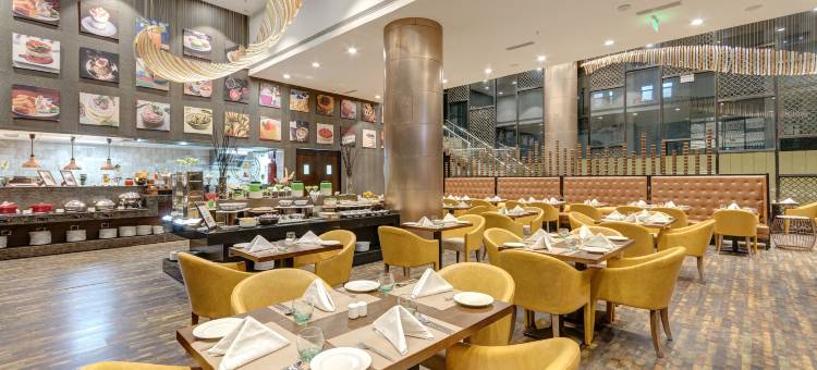 加尔各答机场假日酒店(Holiday Inn Kolkata Airport,)图片