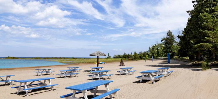 蓝山延龄大厦威斯汀酒店(The Westin Trillium House, Blue Mountain)图片