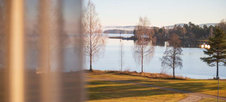 博尔奈斯斯堪迪克酒店(Scandic Bollnäs)图片