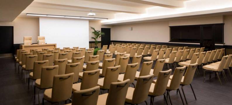 米德特拉尼奥酒店(Hotel Mediterraneo)图片