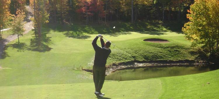 舒适酒店(Comfort Inn)图片