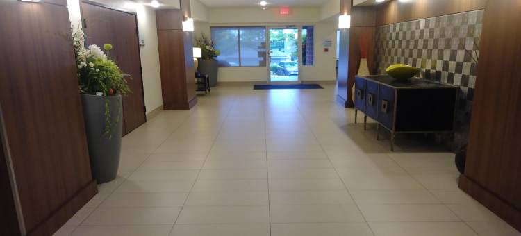 智选假日套房酒店达拉斯小牛队的中央公园东北(Holiday Inn Express & Suites Dallas Park Central Northeast)图片