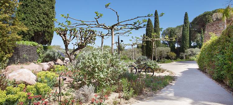 Muse Saint Tropez - Small Luxury Hotels of the World图片