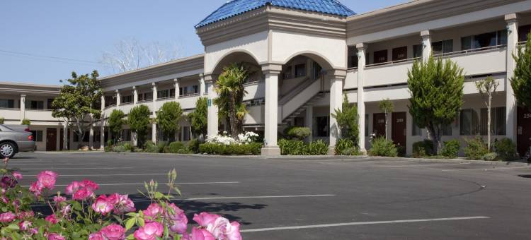 Best Western Plus Black Oak图片