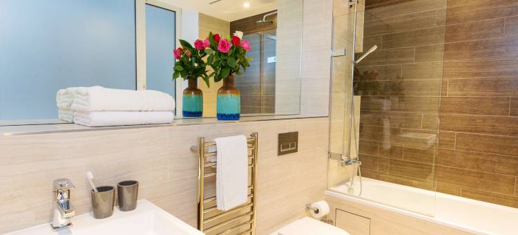 塔桥原住民(Native Tower Bridge)图片