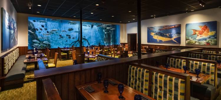 RumFish Beach 在 TradeWinds(RumFish Beach at TradeWinds)图片