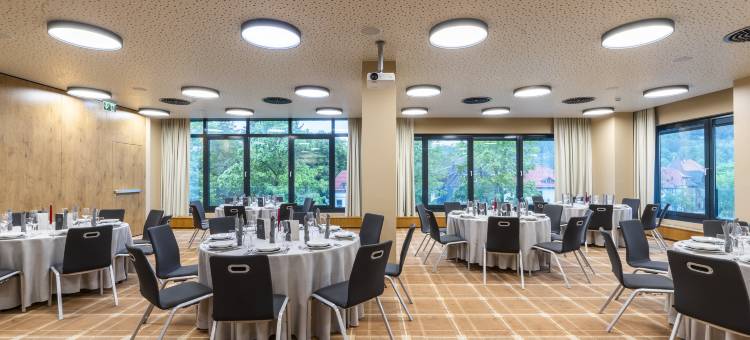 苏尔格兰德酒店(HVD Grand Hotel Suhl Business & Leisure)图片