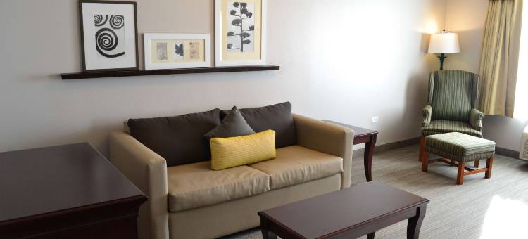 格尼丽怡酒店(Country Inn & Suites by Radisson, Gurnee, IL)图片