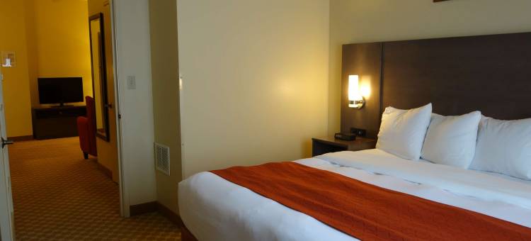 爱荷华克林顿丽怡酒店(Country Inn & Suites by Radisson, Clinton, IA)图片