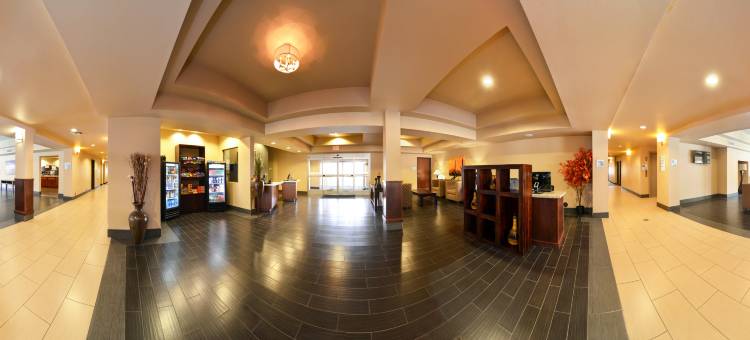 智选假日套房酒店地球，AZ(Holiday Inn Express & Suites Globe)图片