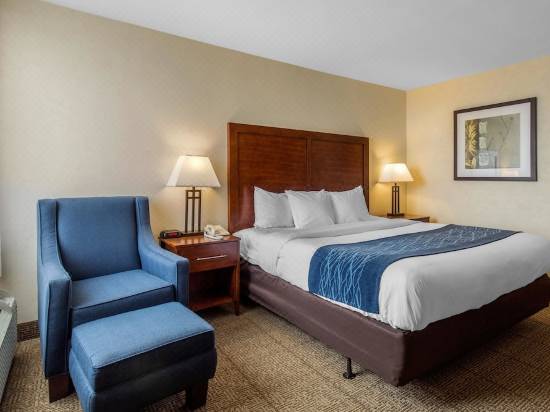 Comfort Inn Conference Center Bowie Hotel Reviews And Room Rates