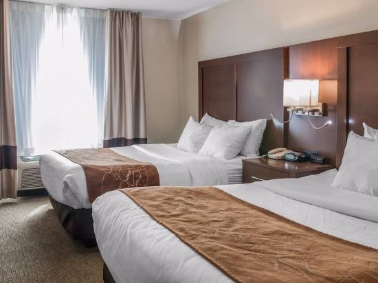 Comfort Suites Wixom Novi Hotel Reviews And Room Rates