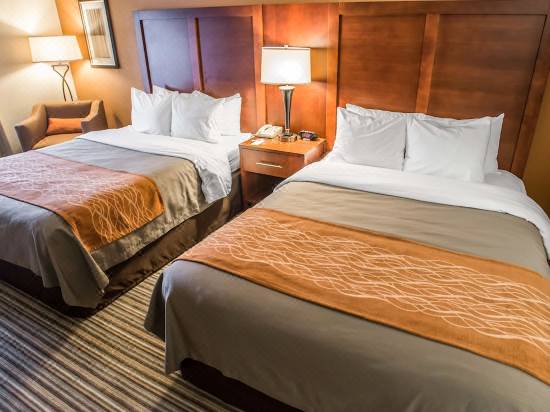 Comfort Inn At The Park Hotel Reviews And Room Rates Trip Com