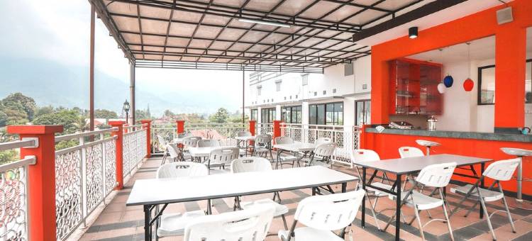 卢路斯酒店(Hotel Lurus)图片