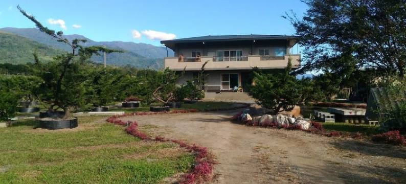 嘟嘟好民宿图片