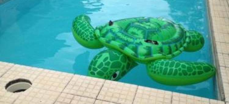 住客旅馆(Hotel Las Residentas)图片