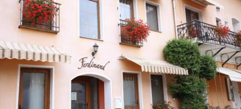 费迪南德潘扎欧酒店(Pension Ferdinand Panzio)图片