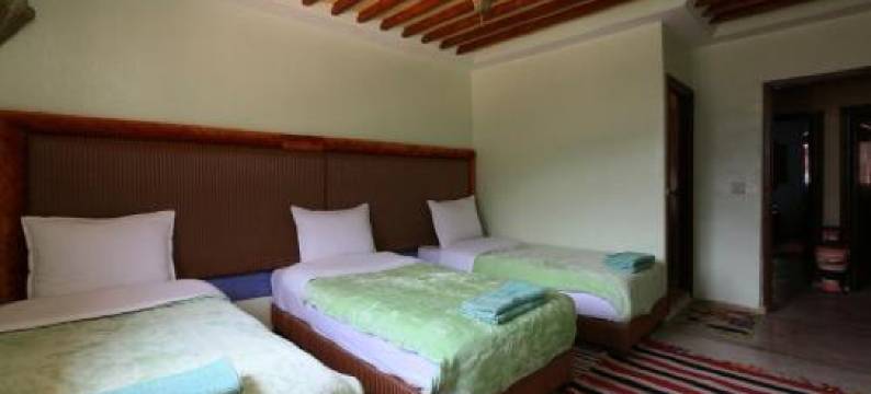 塔玛特旅馆(Tamatert Guest House)图片