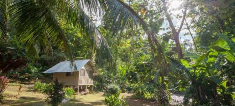 斯塔逊百罗吉卡塔曼朵阿山林小屋(Complejo Ecoturistico Tamandua)图片