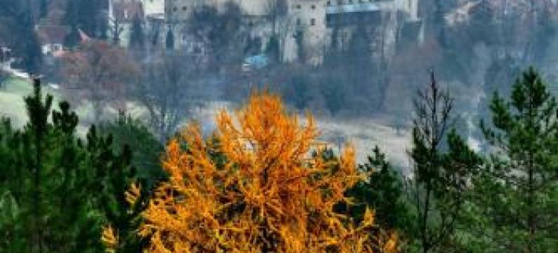 Apartmany Kanianka图片