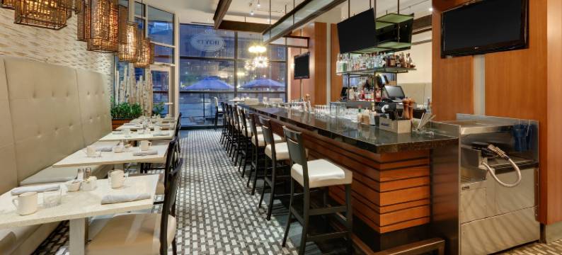 芝加哥皇家索内斯塔市中心酒店(The Royal Sonesta Chicago Downtown)图片