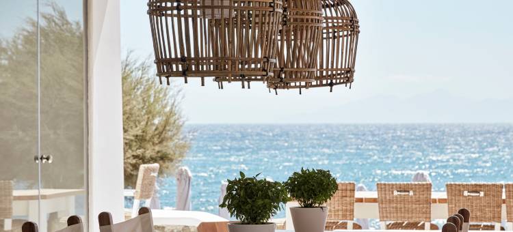 圣托里尼尼基海滩水疗度假村(Nikki Beach Resort & Spa Santorini)图片