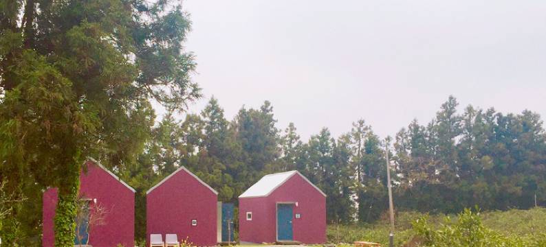 济州Dancing Moon民宿(Jeju Dancing Moon Guesthouse)图片
