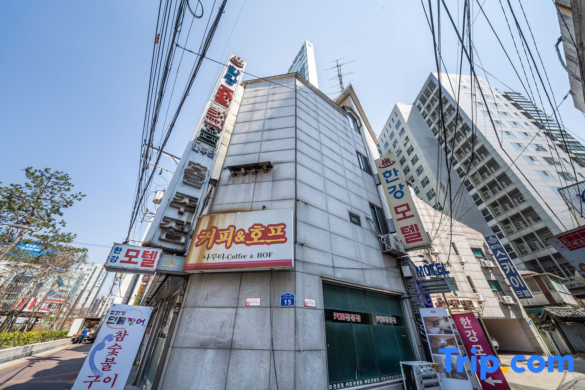カカオフレンズショップ Kakao Friends Shop 現代百貨店新村店 Information Directions Navitime Transit