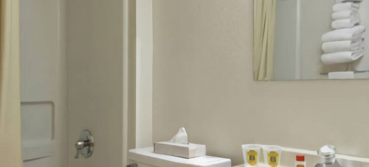 哈灵根速8酒店(Super 8 by Wyndham Harlingen TX)图片