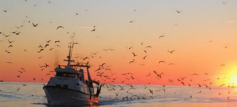 五月花公寓式酒店(Residhotel Mayflower)图片