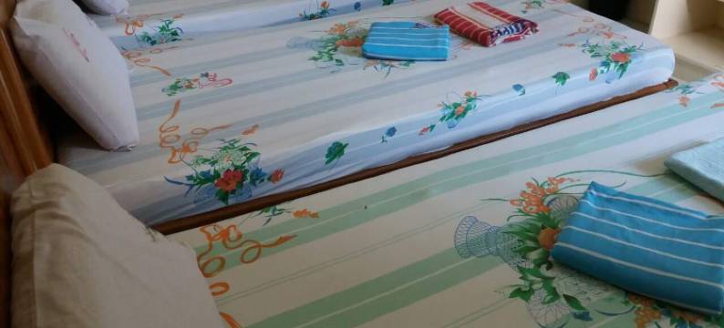 生态度假屋(Eco Pension)图片