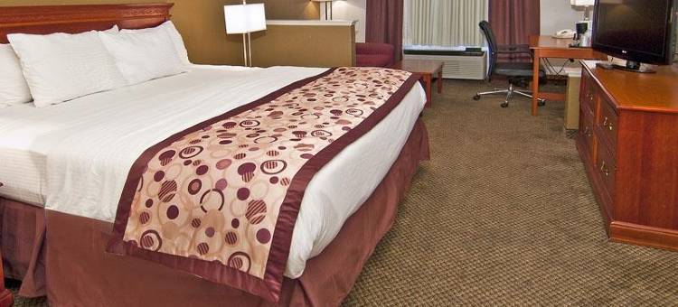 Ténéo Apparthotel Bordeaux Merignac - Aeroport公寓酒店(Ténéo Apparthotel Bordeaux Mérignac - Aéroport)图片