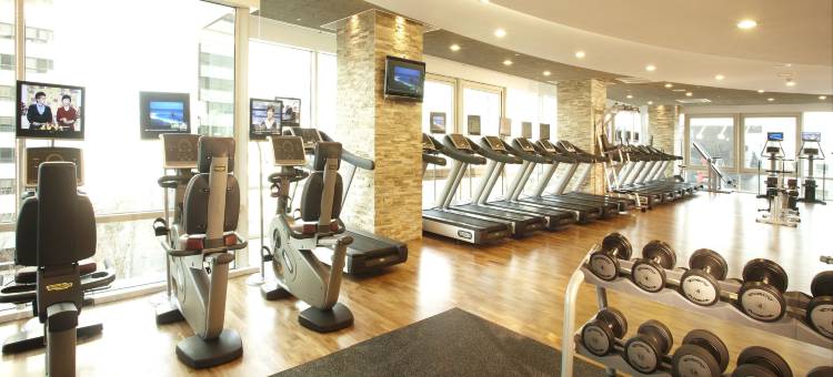 首尔江南大使诺富特酒店(Novotel Ambassador Seoul Gangnam)图片