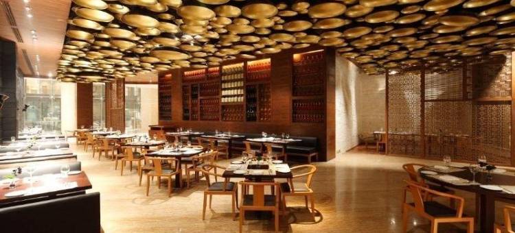 新德里德瓦卡丽笙酒店(Radisson Blu New Delhi Dwarka)图片