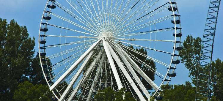 南部舒适酒店(Comfort Inn South)图片