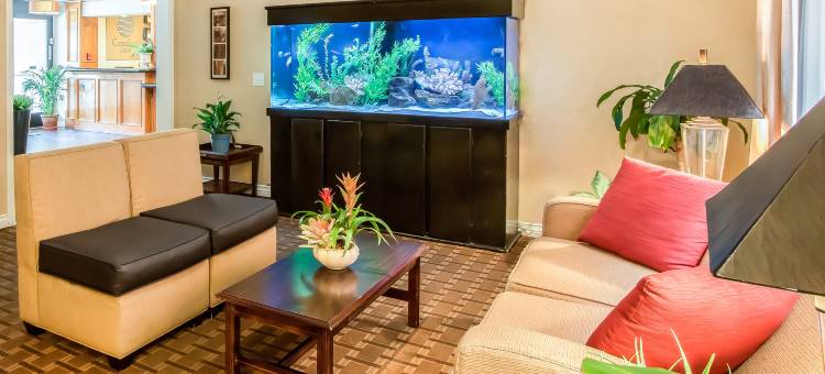 盖斯兰姆普会议中心舒适酒店(Comfort Inn Gaslamp Convention Center)图片