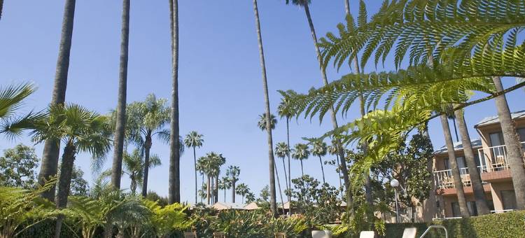 松树贝斯特韦斯特酒店(Best Western Pine Tree Motel)图片