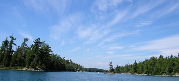 舒适酒店(Comfort Inn)图片