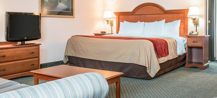 舒适酒店(Comfort Inn)图片