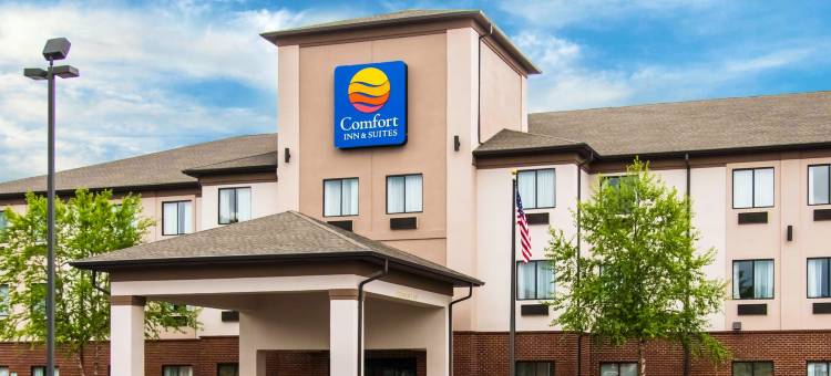 舒适套房酒店(Comfort Inn & Suites)图片