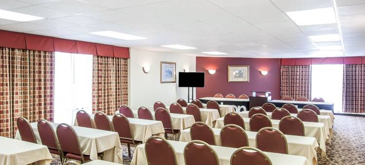 孟菲斯市中心舒适酒店(Comfort Inn Memphis Downtown)图片