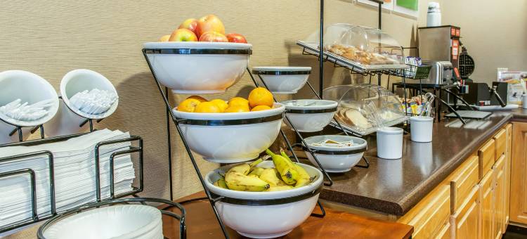 舒适酒店-谢尔比维尔北(Comfort Inn Shelbyville North)图片