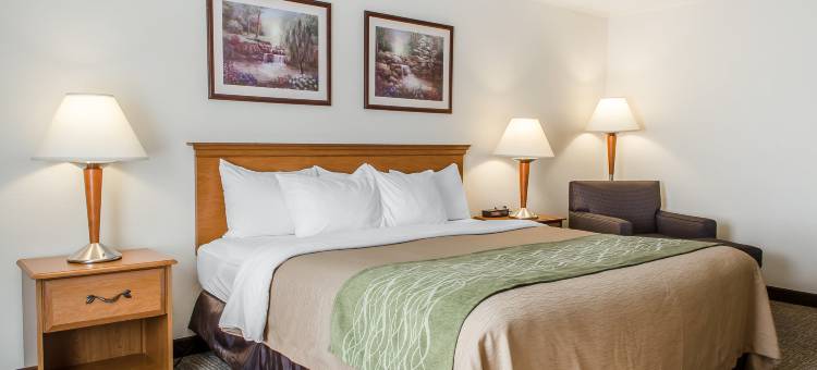 锡林斯格罗夫凯艺酒店(Quality Inn Selinsgrove)图片