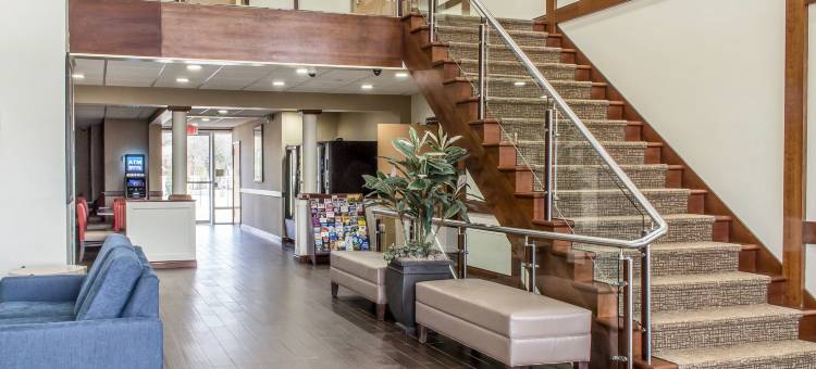 梅德福长岛舒适酒店(Comfort Inn Medford-Long Island)图片